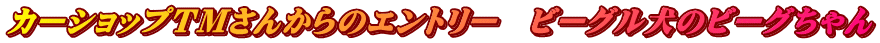 J[Vbvsl񂩂̃Gg[@r[Õr[O